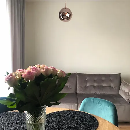 Tavo Apartamentai Kunigiskese Palanga